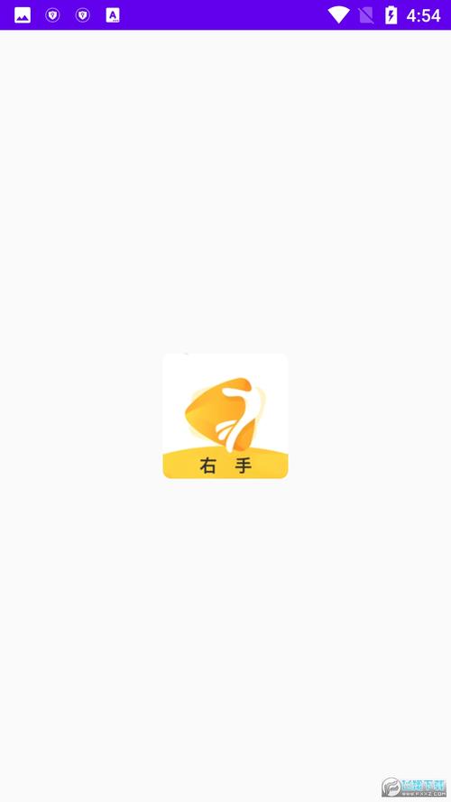 右手app软件官网版截图