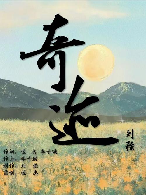 奇迹小说官网版截图