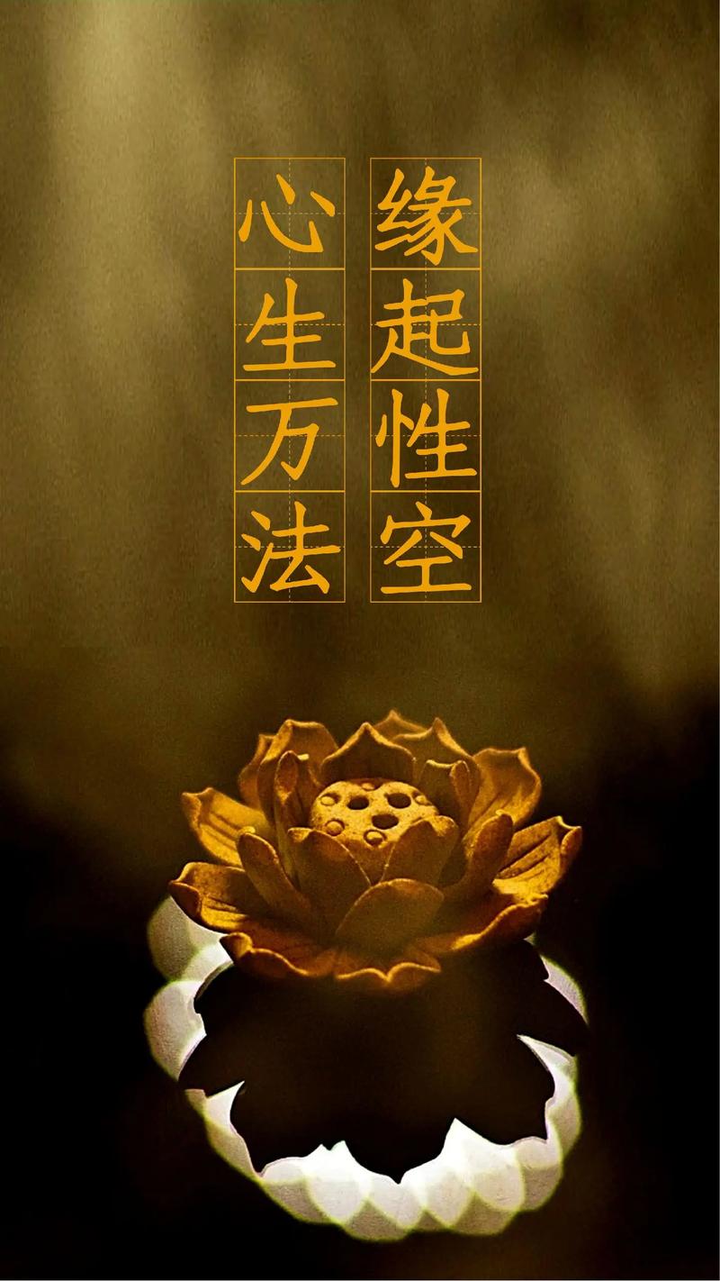 缘起app安卓版截图