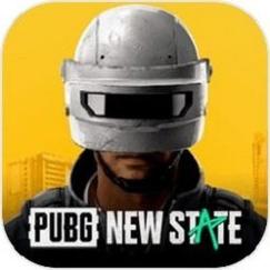 PUBG千纸鹤国体直装截图
