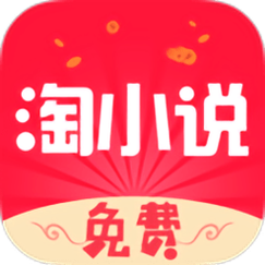 淘小说V970纯净版图标
