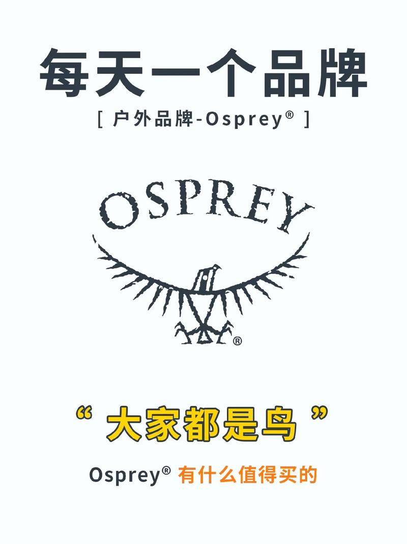 鱼鹰看广告v1.0截图