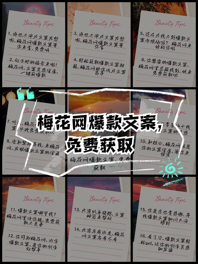 梅花网文案官方网站极速版2023截图