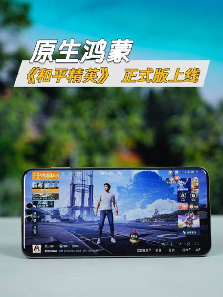 和平精英鸿蒙版截图
