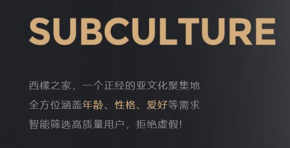 SMON软件截图