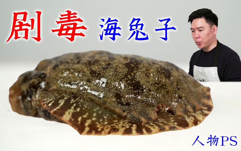 海兔资讯app截图
