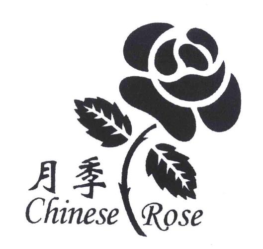月季小说截图