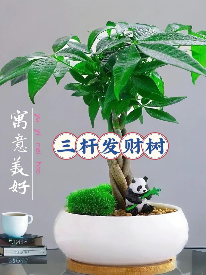 幸运树赚钱截图