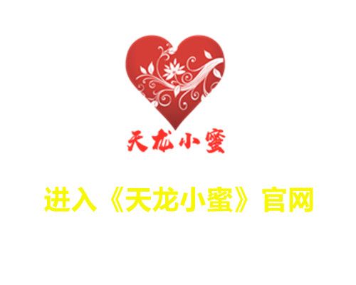天龙辅助专业版截图