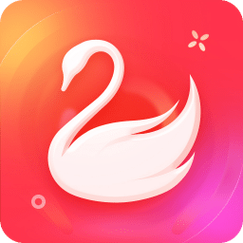 天鹅网app（转发文章赚钱）截图