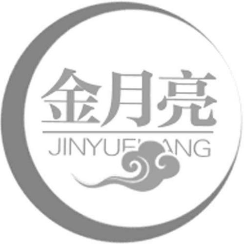 金月亮小说截图