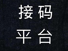 2021接码验证码接收平台截图