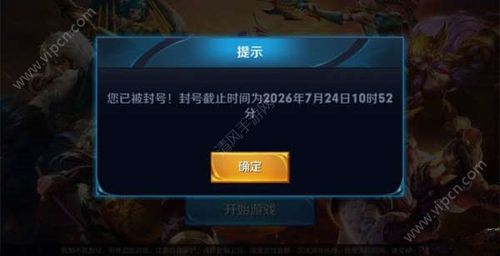 王者荣耀开挂神器不封号版朱雀防走失截图