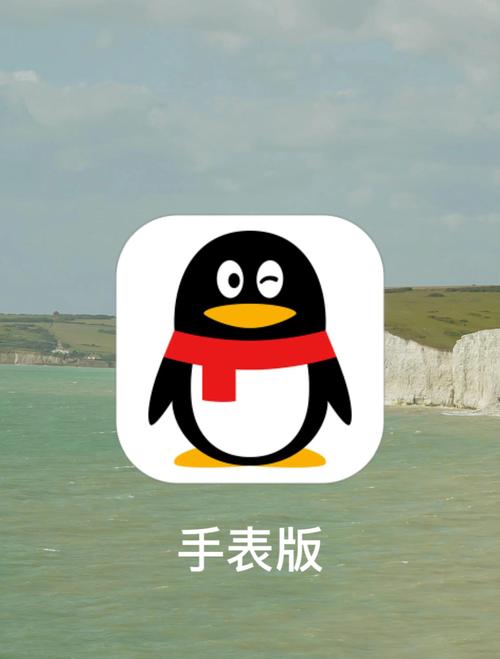 QQ手表版截图