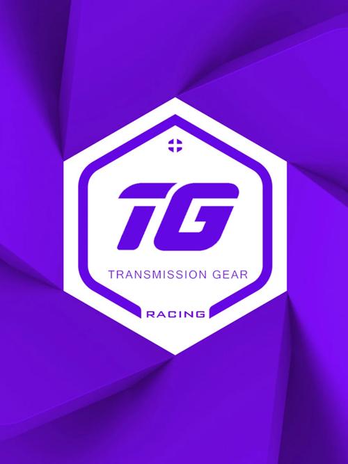 TG框架澈澈框架截图