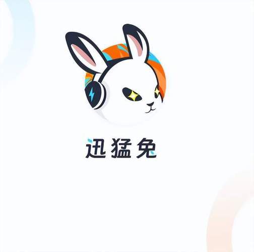 迅猛兔加速器2023截图
