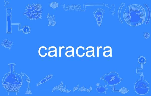 CARATS官方APP截图