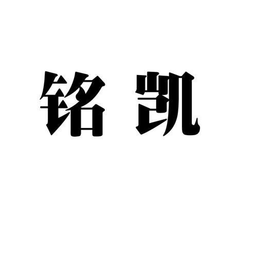 铭凯阅读app截图
