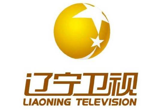 卫星电视截图