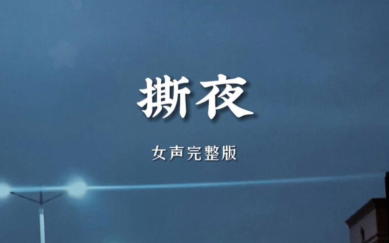 撕夜app官网版截图