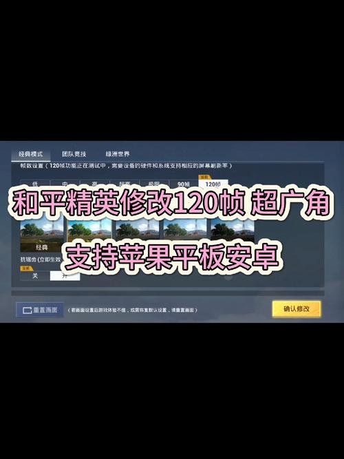 120帧超高清和平精英修改器截图