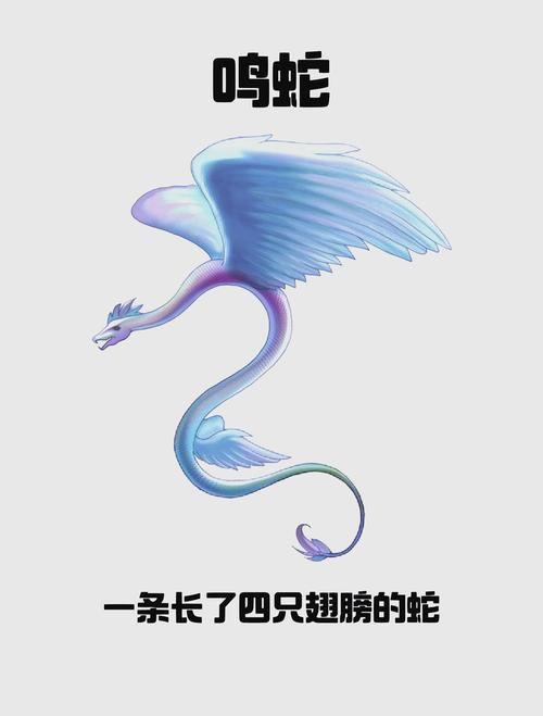 鸣蛇电竞APP截图