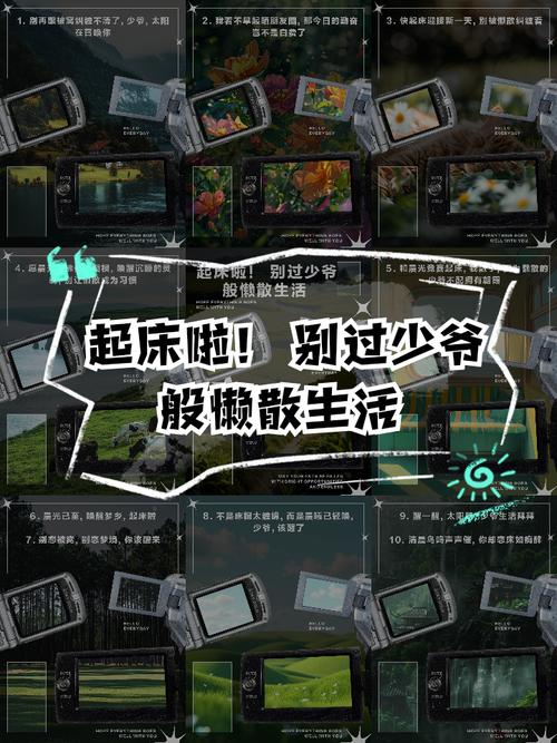 与懒散同学的生活安卓版免费下载截图