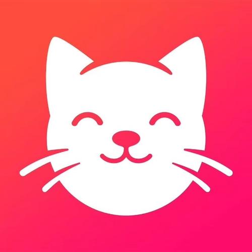 养猫联盟赚钱app截图