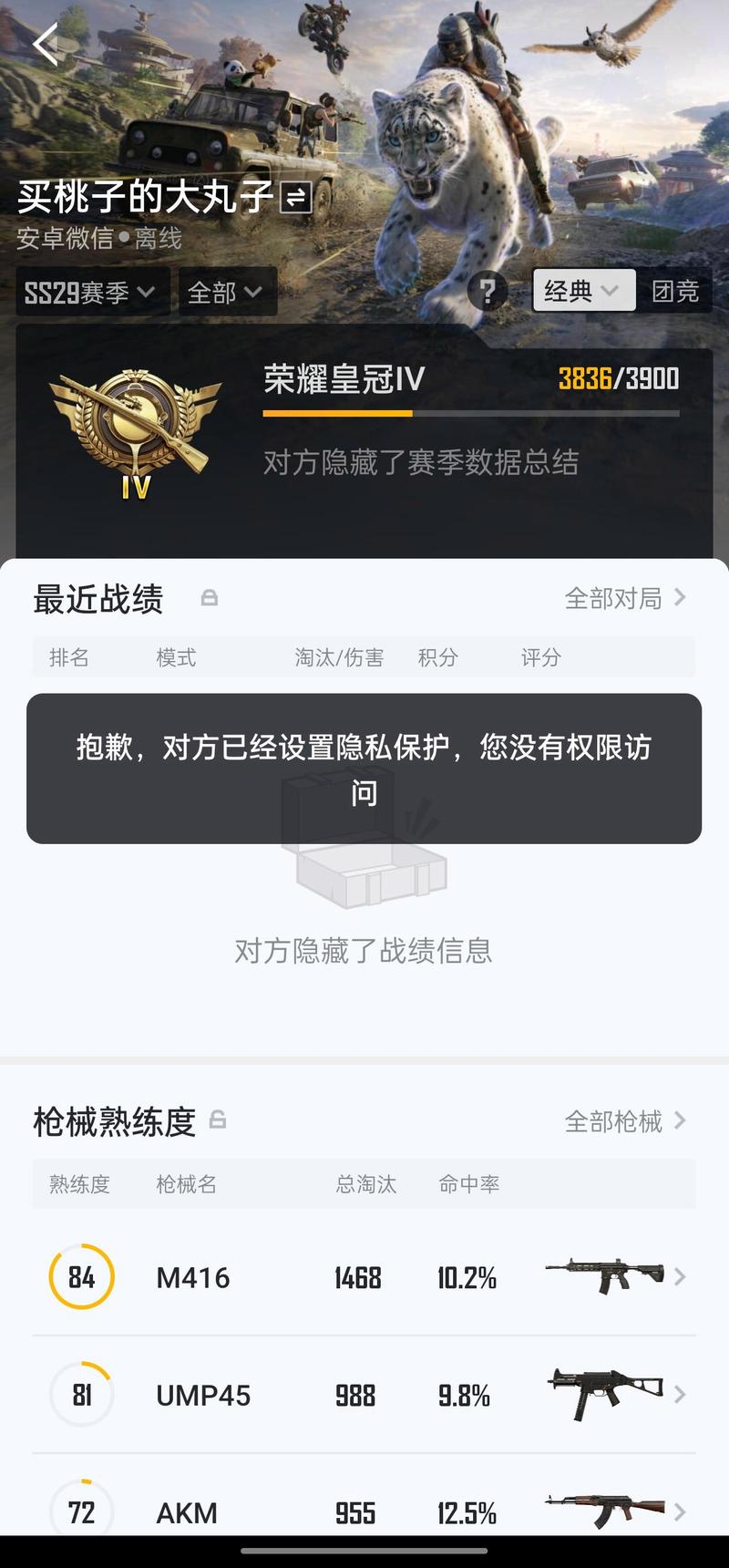 和平精英破解隐藏战绩助手截图