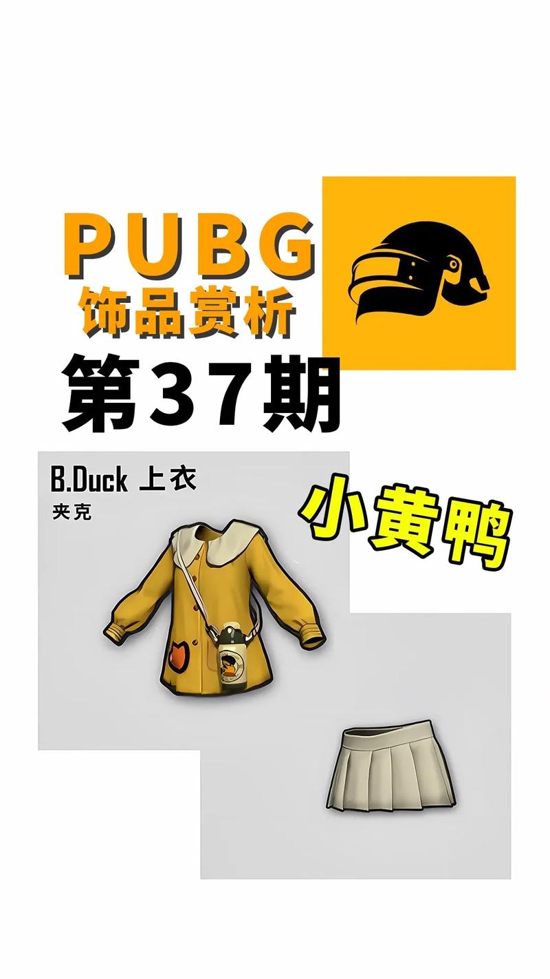 吃鸡衣服美化包免费版截图