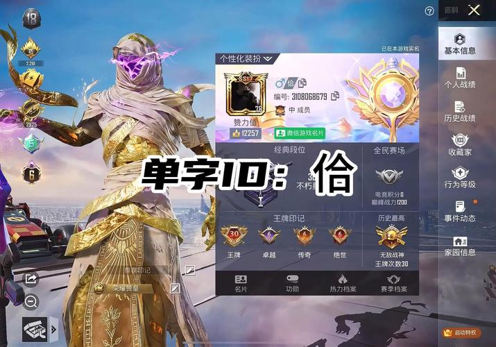 和平精英单字id生成器2023特征