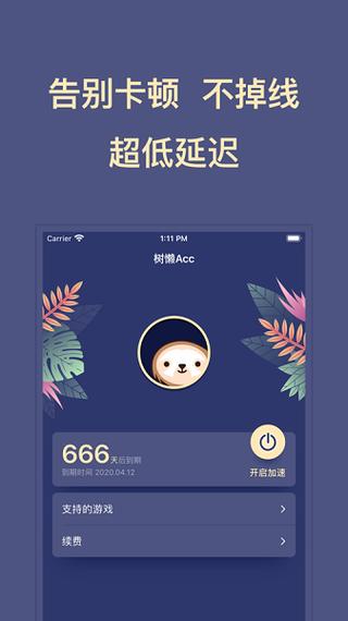 树懒acc加速加速器截图