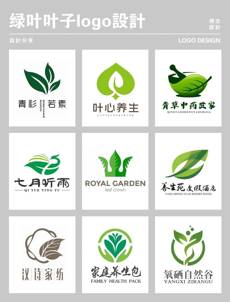 叶子短视频赚钱平台截图