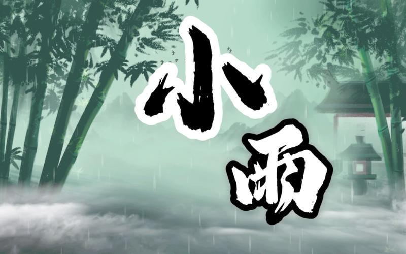 小雨动漫永久vip版截图
