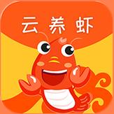 云养虾赚钱截图