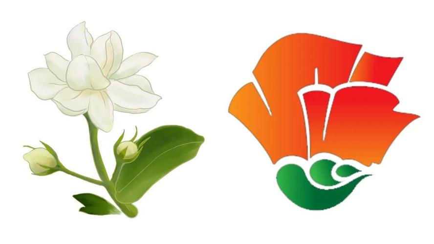 茉莉动漫截图