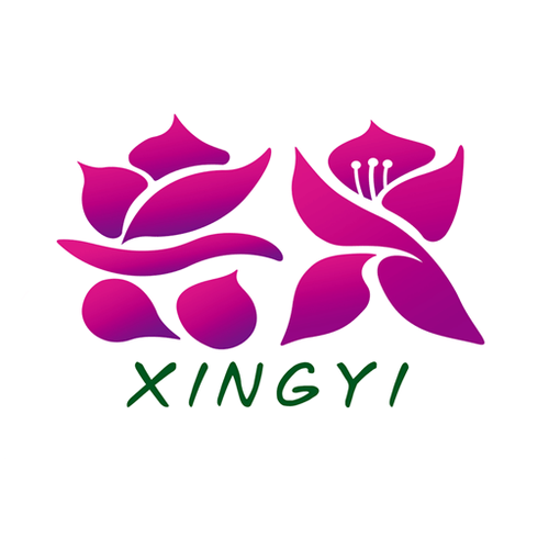 新朝文化app永久免费版截图