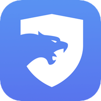 猎豹加速器app官网版下载截图