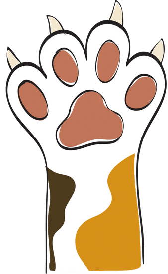 猫爪漫画最新版本截图