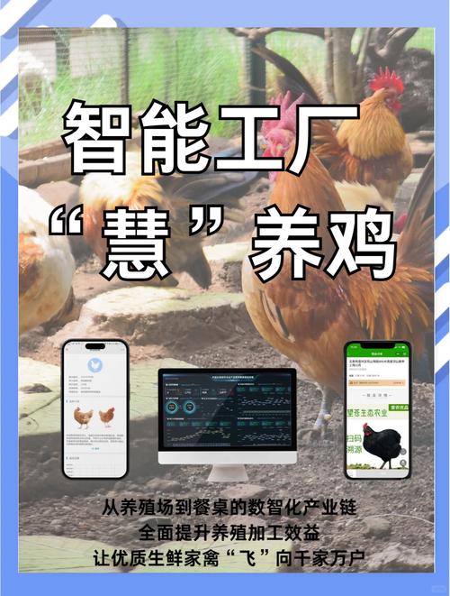 智慧养鸡截图