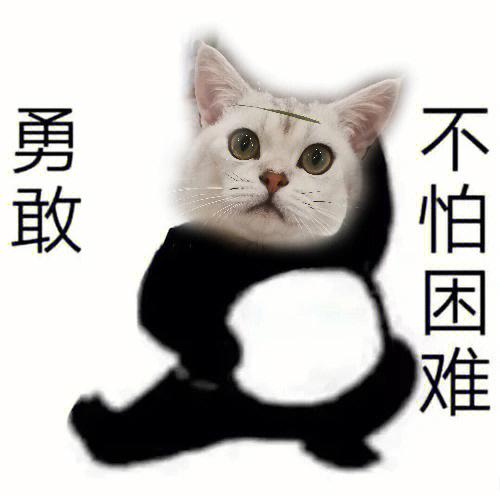 勇敢猫猫不怕困难红包版截图