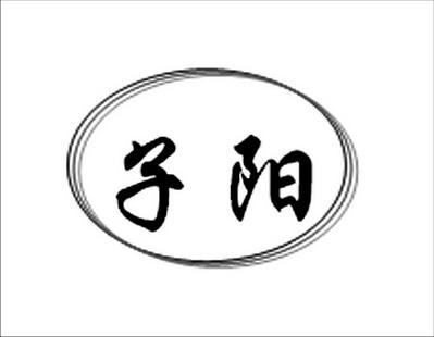 子阳轻体直装科技截图