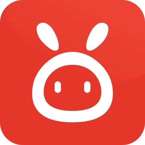 赞丽APP图标