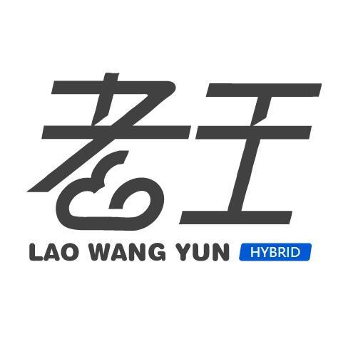 老王2.2.16蓝奏截图