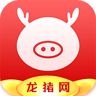 龙猪网安卓版截图
