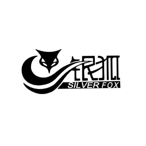 银狐视频官方正版2023最新版游戏截图