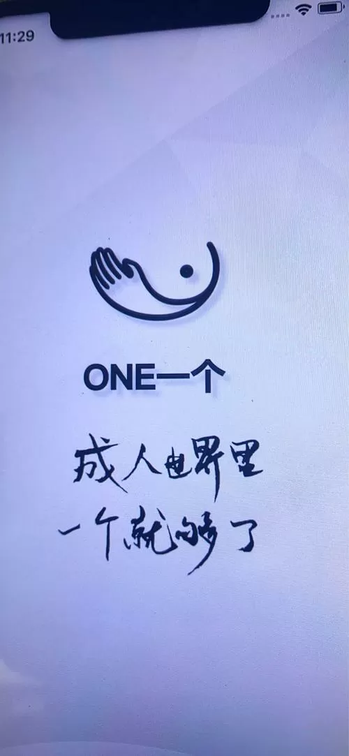 one.yg19.aqq一个致敬韩寒的特色功能图标