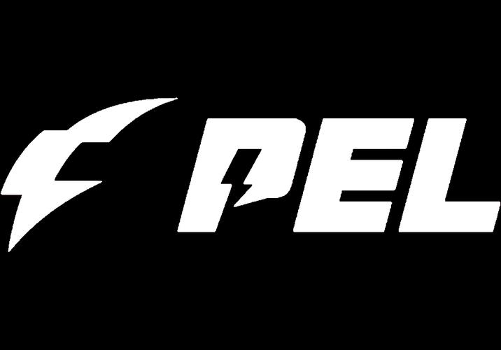 PEL和平精英职业联赛直播游戏截图