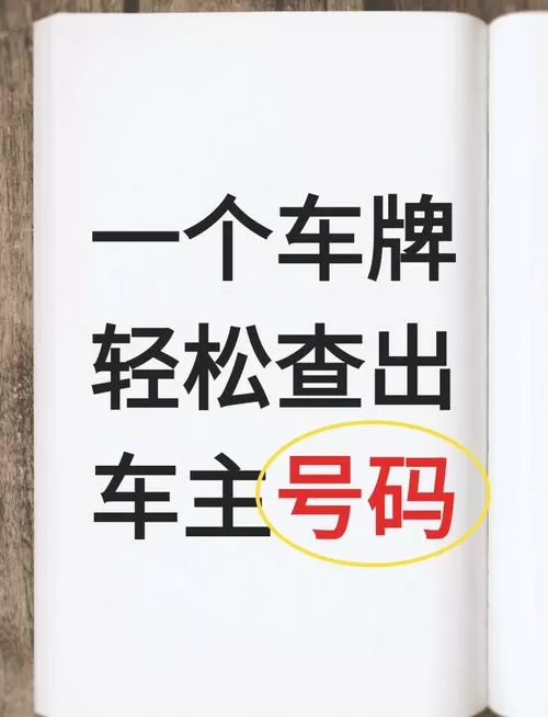 车主号码查询平台缩略图