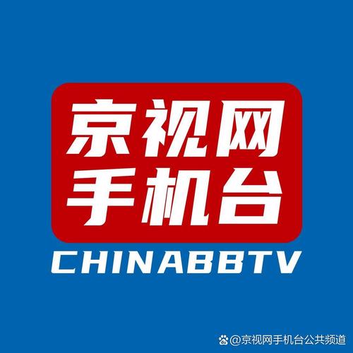 如意父亲回国后采访视频